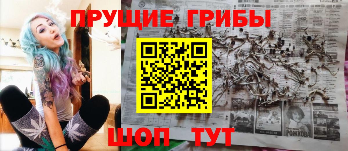 Котовск  Псилоцибиновые грибы Psilocybe  Вход с VPN 